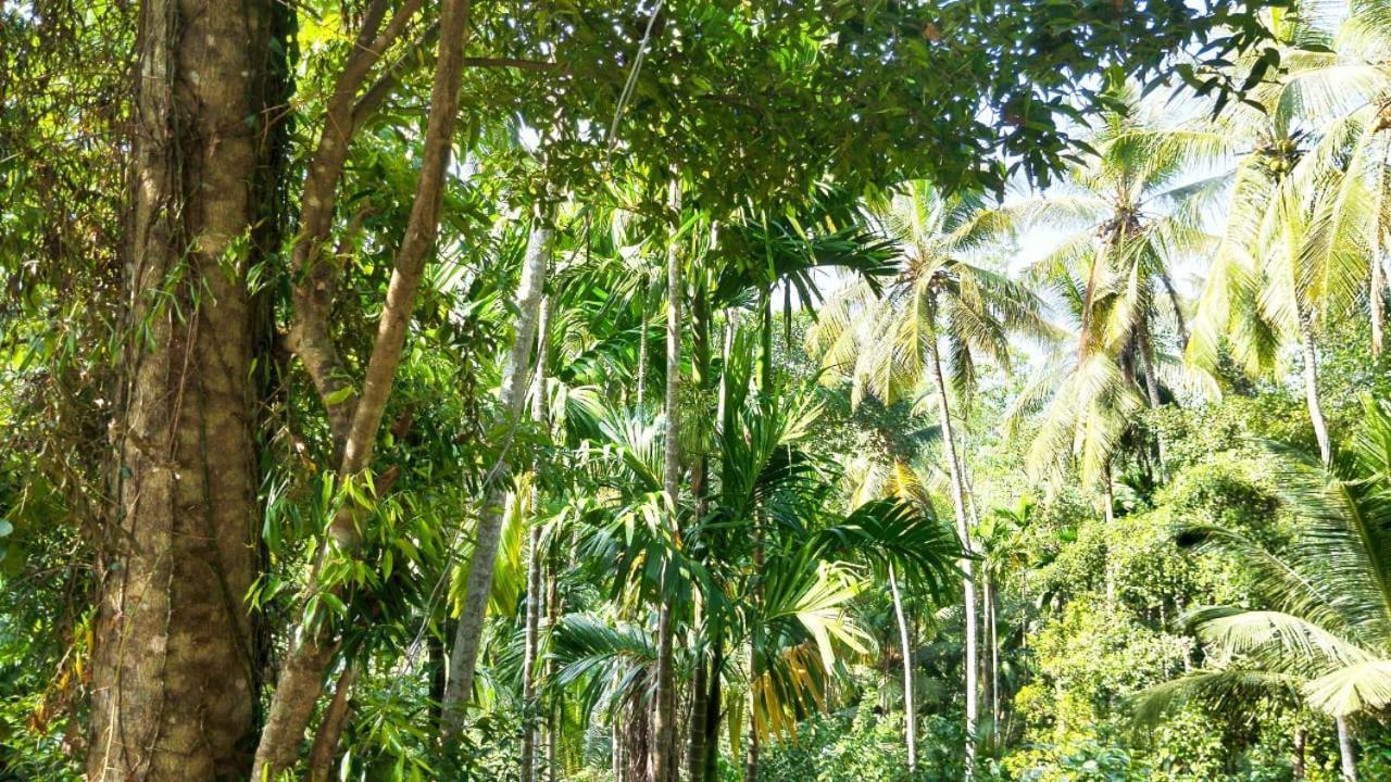 Sinali Villa Habaraduwa Exterior photo