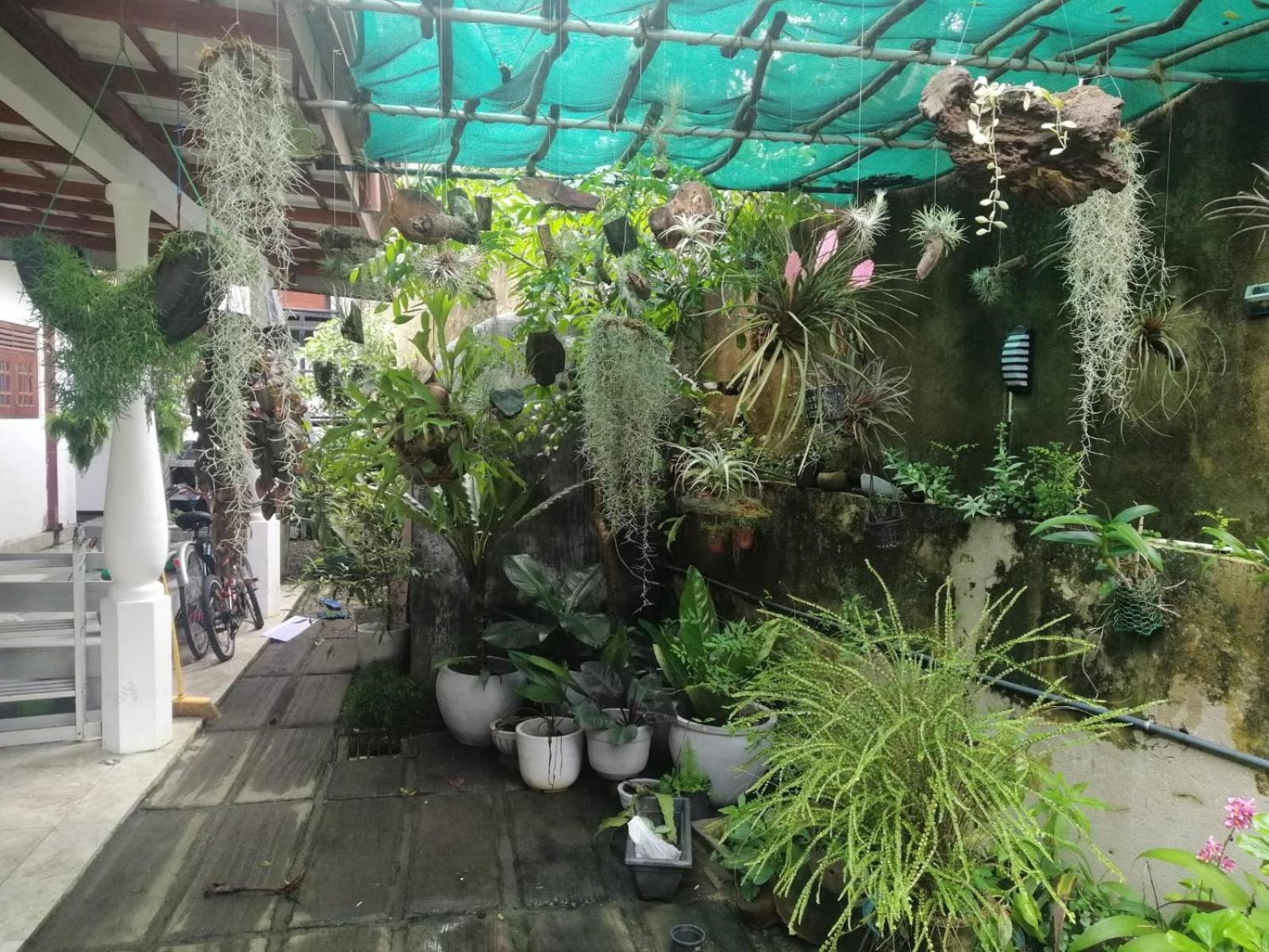 Sinali Villa Habaraduwa Exterior photo