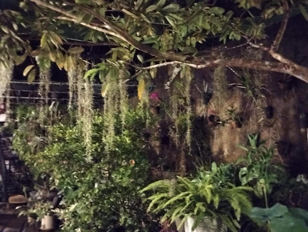 Sinali Villa Habaraduwa Exterior photo